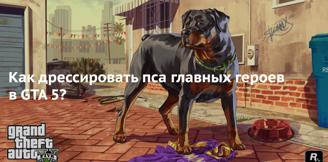 Как дрессировать пса главных героев в GTA 5?