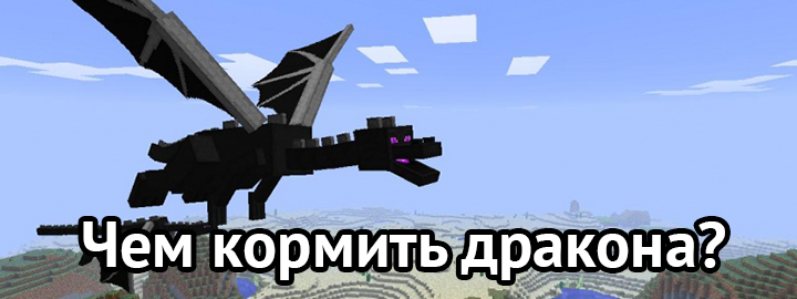 Чем кормить дракона?