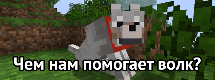 Чем помогает волк?