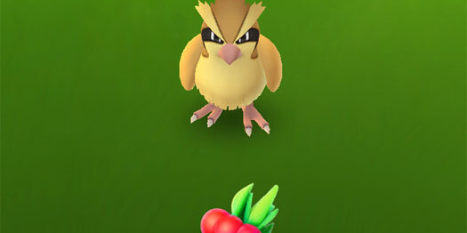 Как ягода Razz Berry помогает ловить покемонов?