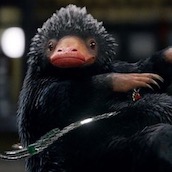 Игра Тест: Насколько ты похожа на Нюхля из Фантастических Тварей?