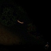 Игра Слендермен кости детей