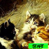 Игра С цифрами: поиск на котятах